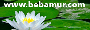 bebamur-blog