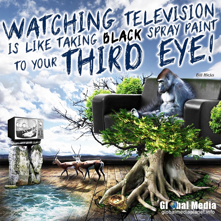 television-lie